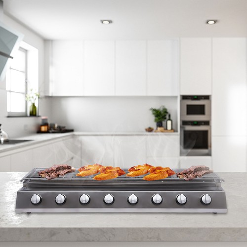 Lpg barbecue grill - barbecue, burner